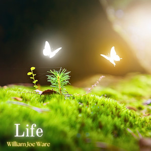 Life by William Joe Ware
