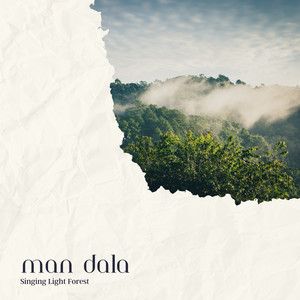 Singing Light Forest by Man Dala
