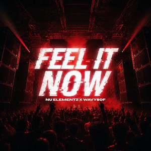 Feel It Now by Nu Elementz, Wavysof