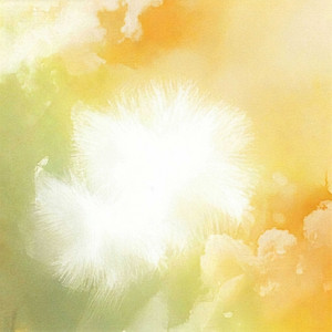 stone - Spring in You