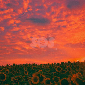 SOS by Zenlee
