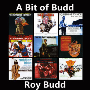 レコード Windmill Budd Black 未使用 Roy - / The