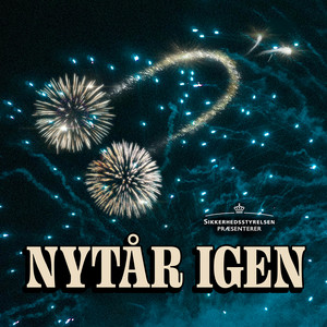 Nytår Igen (feat. Jesu Brødre, Lina Rafn, Niels Olsen, Klam Vandmand & Shambs) by Sikkerhedsstyrelsen, Jesu Brødre, Lina Rafn, Niels Olsen, Klam Vandmand, Shambs
