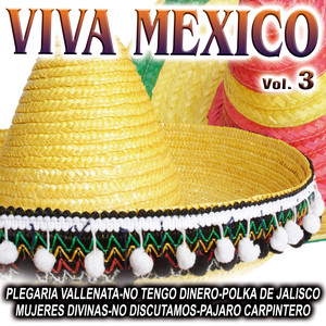 La Banda Del Mariachi - Mi Viejo