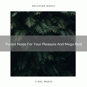 Purest Noise For Your Pleasure And Mega Rest album
