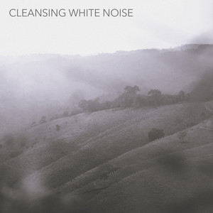 Cleansing White Noise by Star Chip