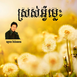 ស្រស់អ្វីម្ល៉េះទេ