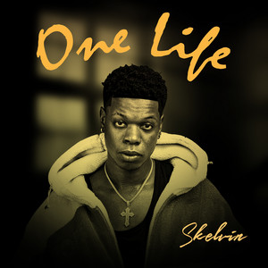 One life by Skelvin