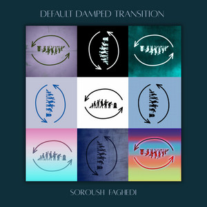 Default Damped Transition by Soroush Faghedi