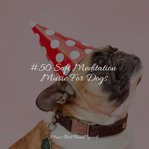 #50 Soft Meditation Music For Dogs album
