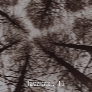 iguanaz.11 - Instrumental by 네스티요나