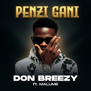 Penzi Gani by Don Breezy, Malume
