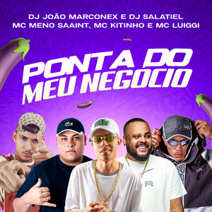 Ponta do Meu Negócio