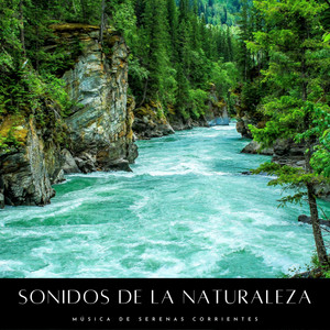 Sonidos De La Naturaleza: Música De Serenas Corrientes album