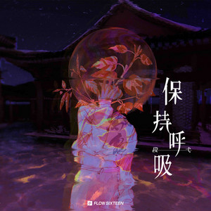 保持呼吸 by 段弋