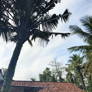 Alexandersy - Stylish