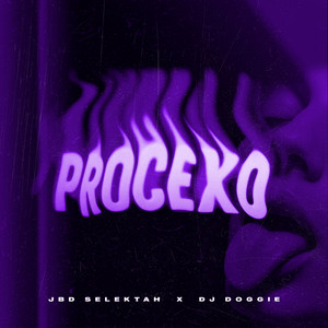 Procexo — cover art by Dj C Basse