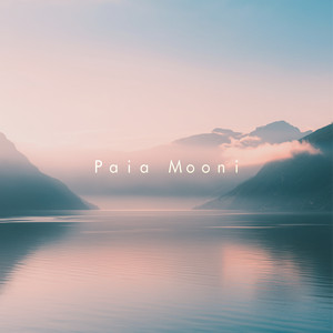 Insight by Paia Mooni