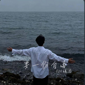 要一份自由 -404缓存 by 啊润-抖音Music