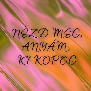 Nézd meg, anyám, ki kopog by Rokkó, Dado Kincsó