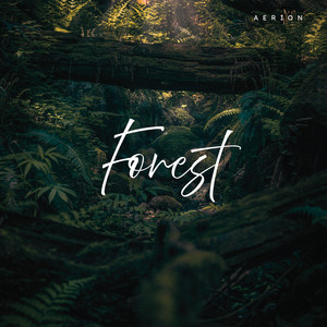 Forest - Radio Edit by Aerion