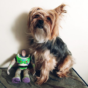 SantaJulia - Yo Soy Tu Amigo Fiel