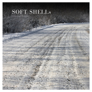 Strange Roads by Soft Shells