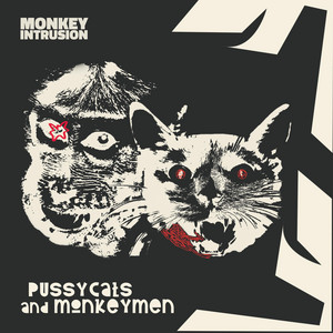The Brighter Side by Monkey Intrusion