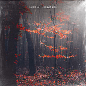Stopping By Woods by Matthew Kaff