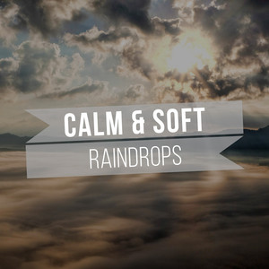 # 1 Album: Calm & Soft Raindrops album