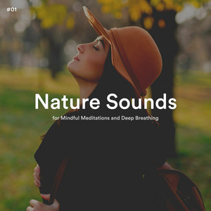#01 Nature Sounds for Mindful Meditations and Deep Breathing album