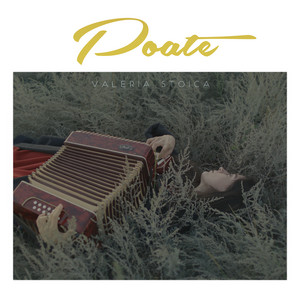 Poate by Valeria Stoica