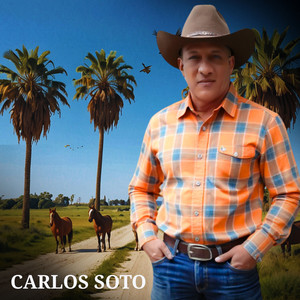 No Soy el Rostro de Tus Lentes by Carlos Soto