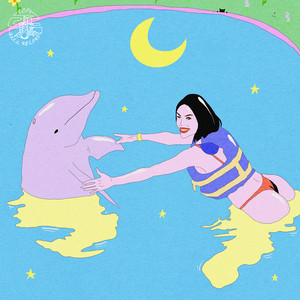Dolphin by Mujo