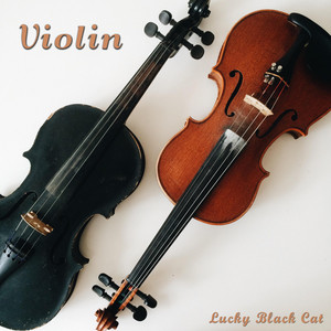 LuckyBlackCat - Violin