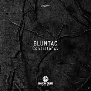 Consistency - Radio Edit by Bluntac