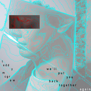 We'll Put You Back Together Again by Teddy McGraw
