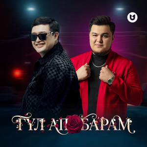 Adilet Zhaugashar - Гүл ап барам (feat. Elnur Nauryzbek)
