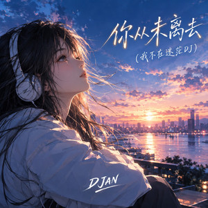你从未离去(我不在迷茫DJ) by DJAN