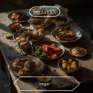 negar by gorilaYTX
