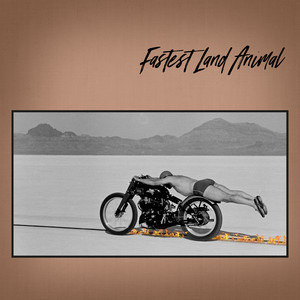 Answer In My Head by Fastest Land Animal