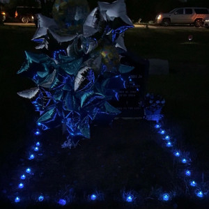 RICKY - Kms 11/01/25 Pt. 2