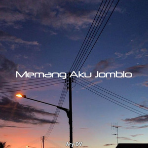 MEMANG AKU JOMBLO / JOMBLO BAHAGIA - Remix by Ary OV