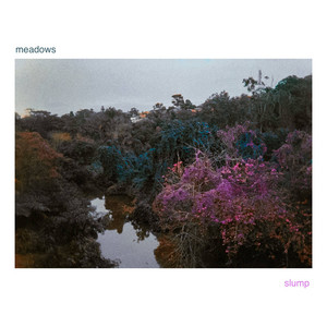 meadows by slump