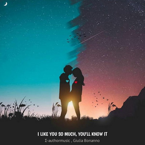 Σ-authormusic & Giulia Bonanno - I Like You So Much, You'll Know It