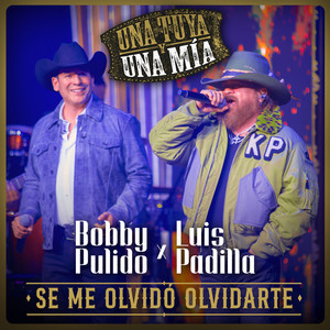 Se Me Olvidó Olvidarte (En Vivo)