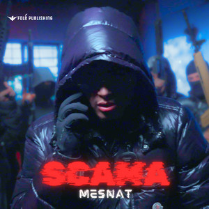 Mesnat by Scama