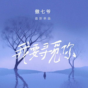 我要寻觅你 - 伴奏版 by 傲七爷