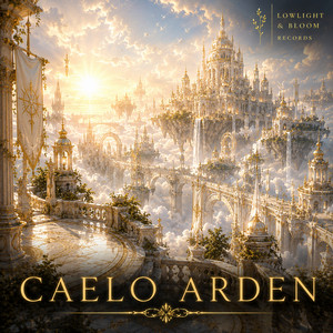 Didn't Feel Like Talking by Caelo Arden