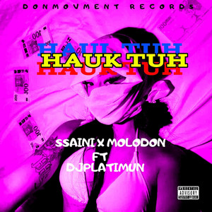 Ssani - Hauk Tuh (feat. Molodon X Dj platinum)